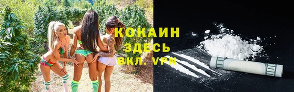 ешки Покачи