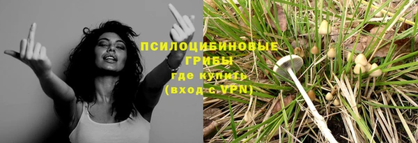 МДПВ Покров