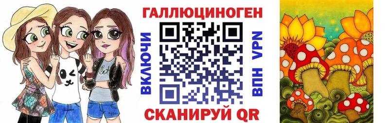 мега зеркало Полярный Псилоцибиновые грибы GOLDEN TEACHER
